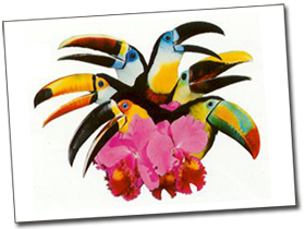 Toucan Goods